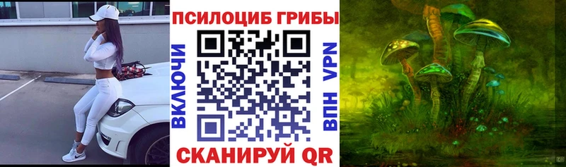 Галлюциногенные грибы Psilocybine cubensis сколько стоит Кирсанов